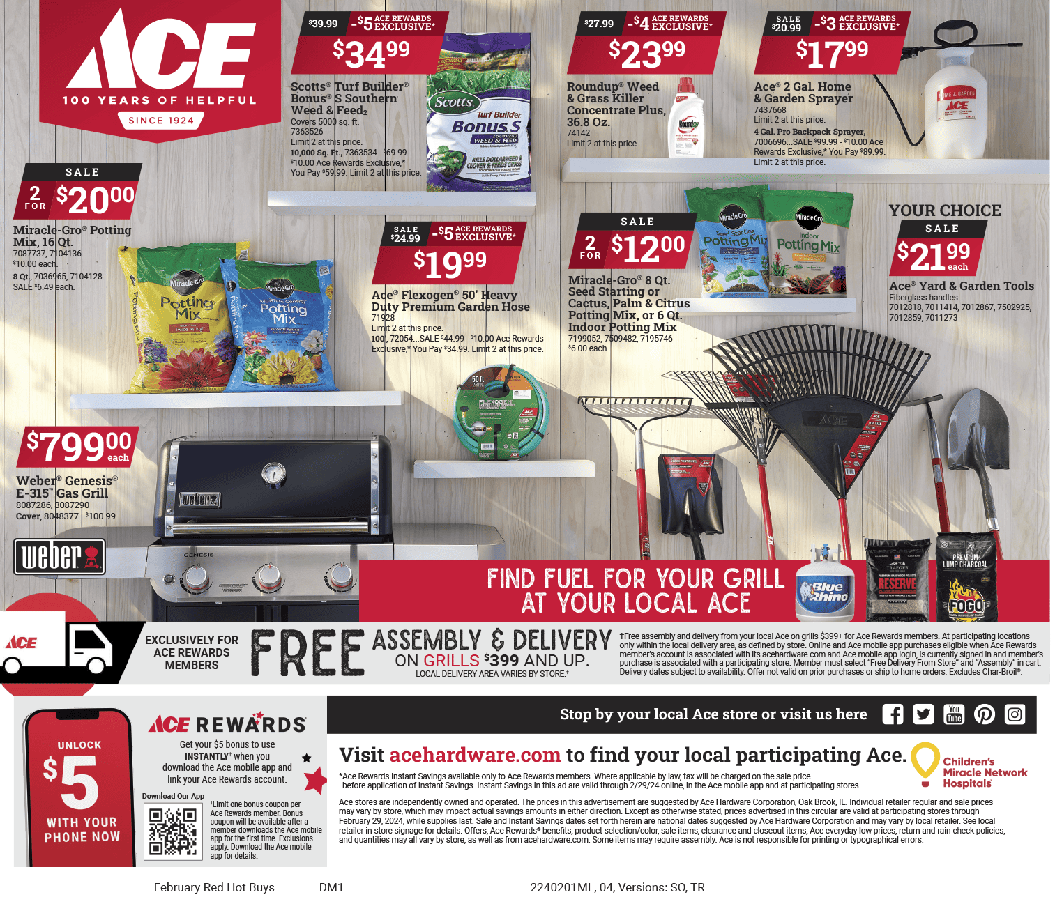 February ace special sale