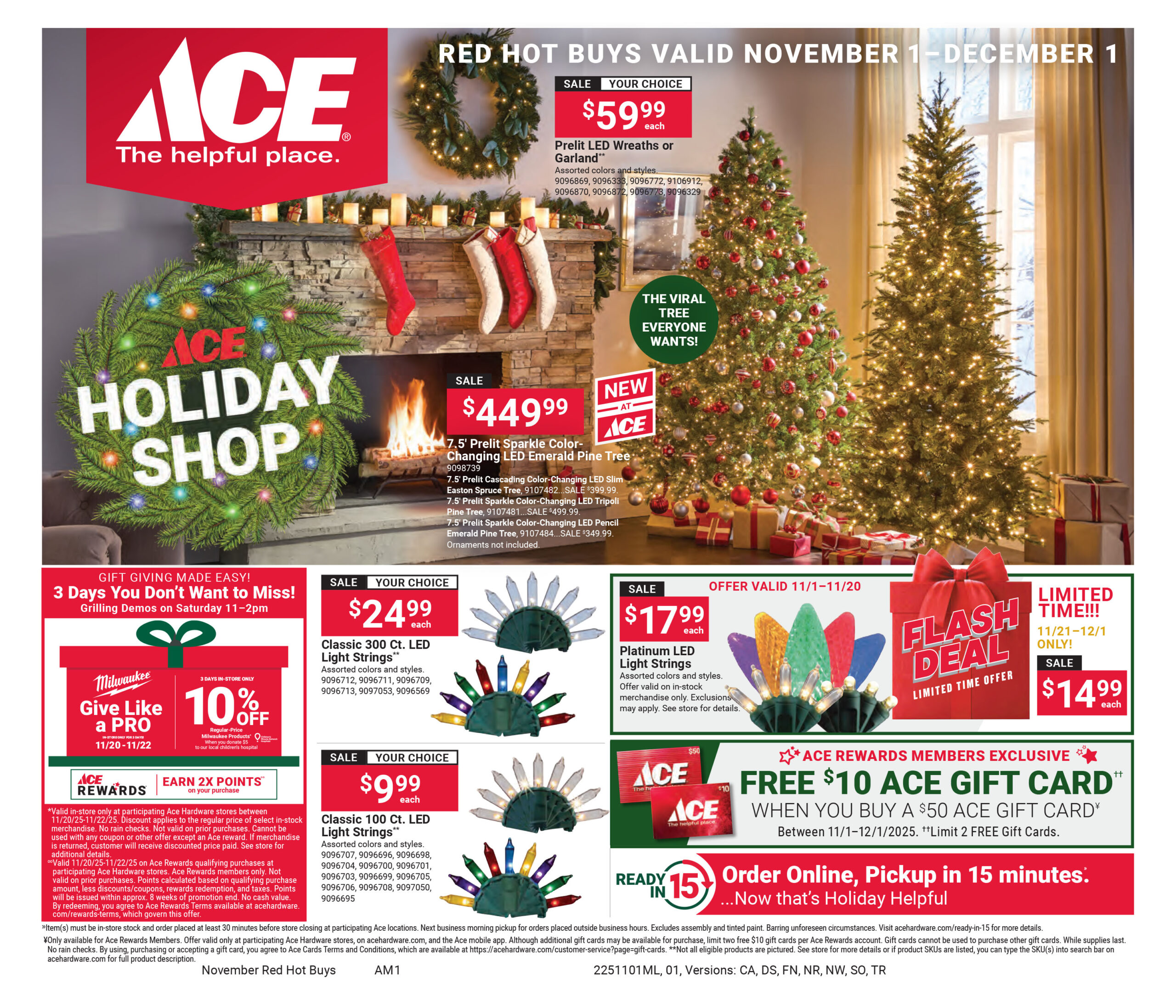 November ACE 2