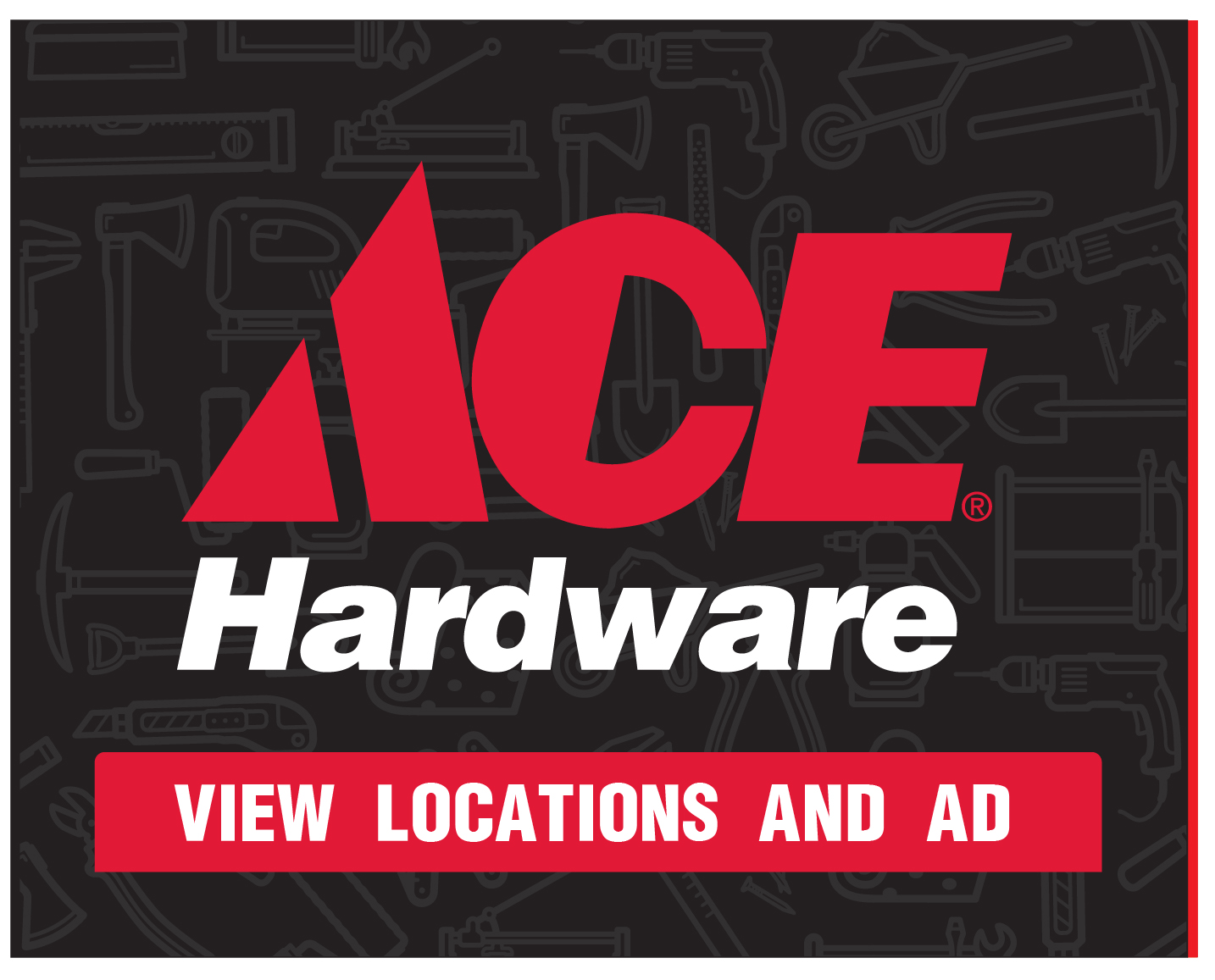 Ace Home Page Button