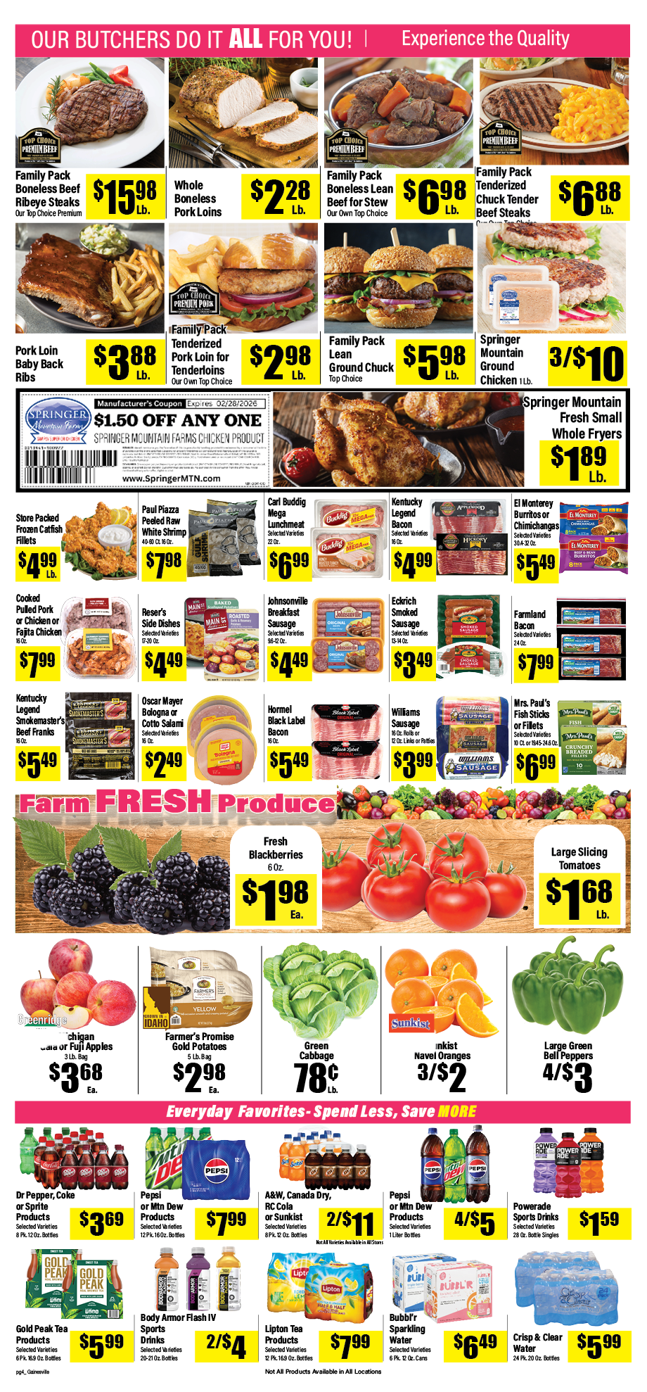 02-11-26 TC gainesville