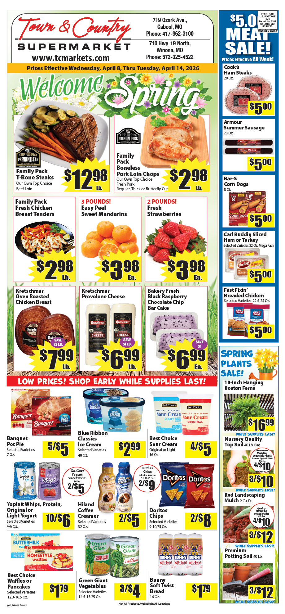 04-08-26 TC cabool winona